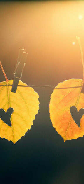 Two golden leaves with heart shaped holes hang on a clothesline in sunlight, HD Mobile Wallpaper
