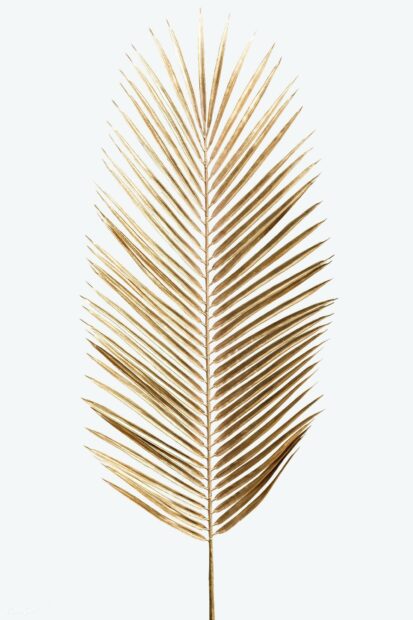 A golden palm leaf displays intricate details and texture on a plain background, HD Mobile Wallpaper