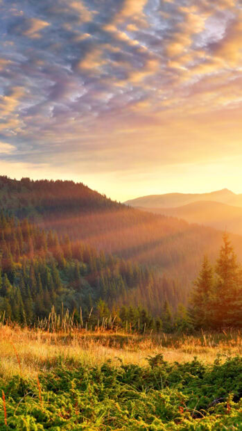 The golden sunlight shines over peaceful mountain scenery with lush green trees and a partly cloudy sky, 4K Phone Wallpaper
