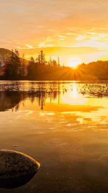 The Vermont Wallpapers show a golden sunset reflecting over a calm lake with trees, 4K Phone Wallpaper
