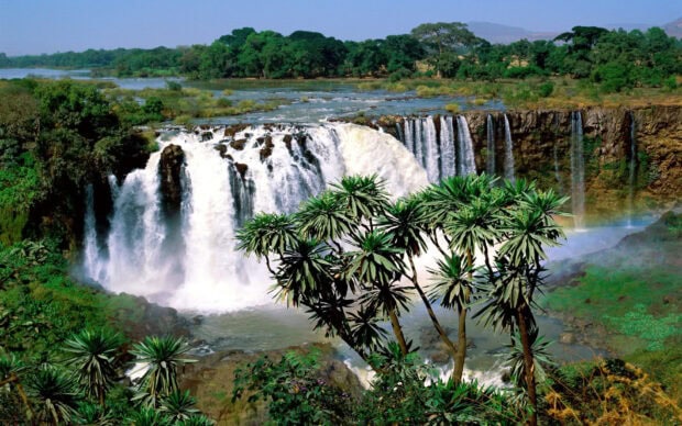 Ethiopia Wallpapers shows a large waterfall surrounded by lush trees and plants, HD Desktop Wallpaper
