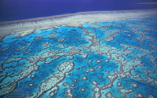 Aerial view of Great Barrier Reef showcasing vibrant coral formations and clear blue water