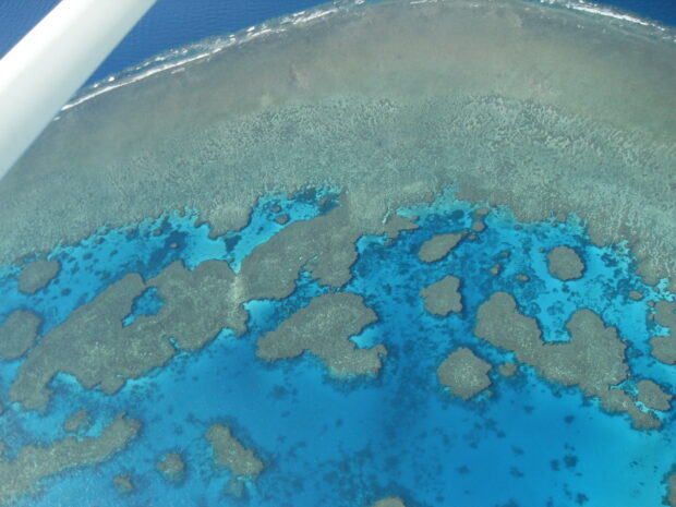 Aerial view of Great Barrier Reef showcasing vibrant coral formations and turquoise waters