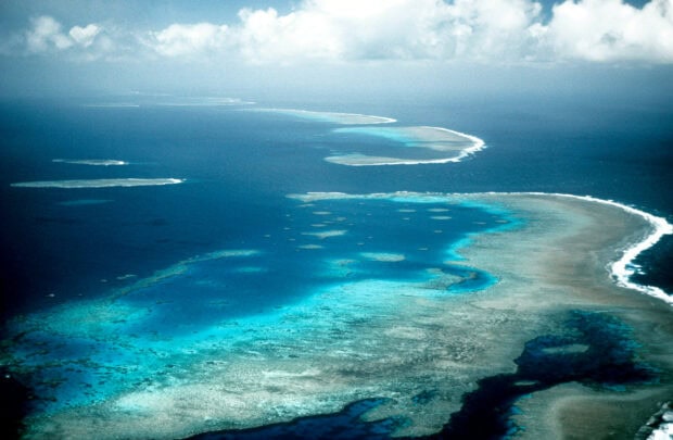 Aerial view of vibrant coral formations in the Great Barrier Reef with clear blue ocean waters