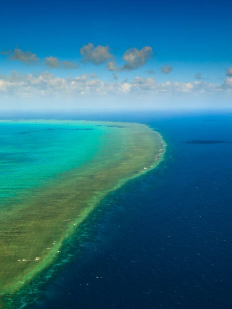 A vibrant section of Great Barrier Reef showing clear blue ocean and coral formations