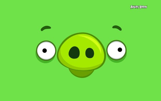 Khuôn mặt nhân vật Angry Birds màu xanh lá cây với đôi mắt to trên nền xanh lá cây đặc, Hình nền máy tính HD