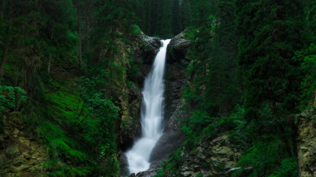 A green forest with dense trees surrounding a tall waterfall in a natural landscape