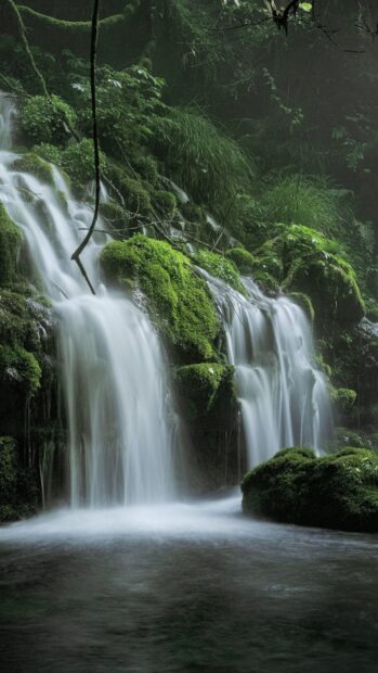 Lush green forest with moss covered rocks and cascading waterfall in a peaceful setting