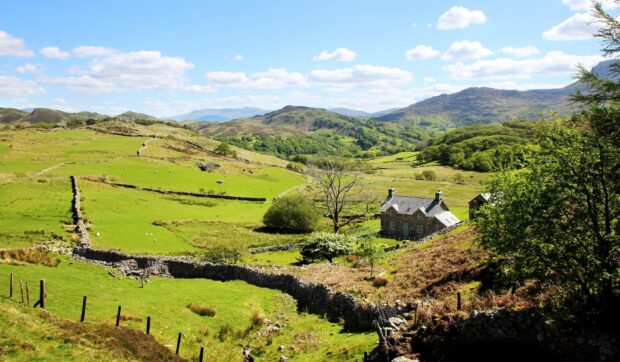A scenic view of the green Welsh countryside featuring hills and stone walls, HD Desktop Wallpaper