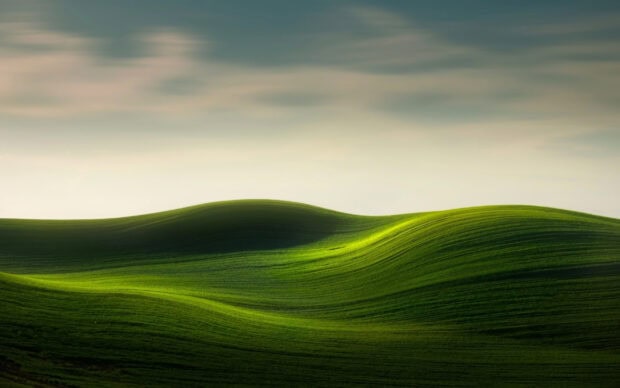 Scene of green hills showcases gentle curves and soft light, 2K Desktop Wallpaper