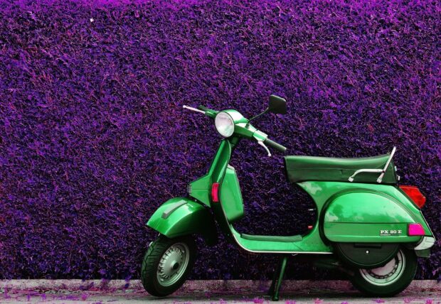 A green scooter is parked in front of a dense purple hedge outdoors, HD Desktop Wallpaper