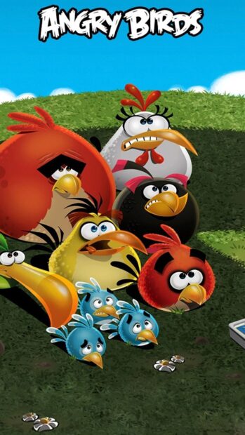 Một nhóm nhân vật Angry Birds sẵn sàng hành động trên một cánh đồng cỏ dưới bầu trời trong xanh, Hình nền điện thoại HD