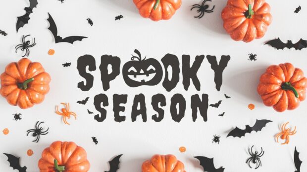 A flat lay of pumpkins and spiders for the spooky Halloween 2025 season