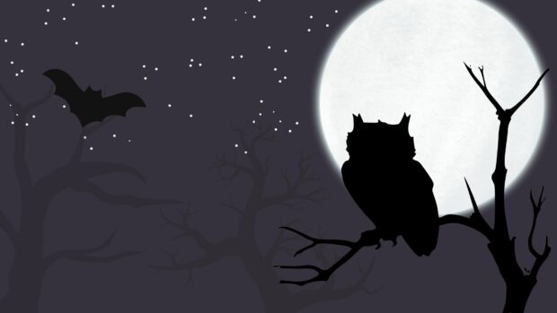 An owl and a bat silhouetted against the full moon for a spooky Halloween 2025