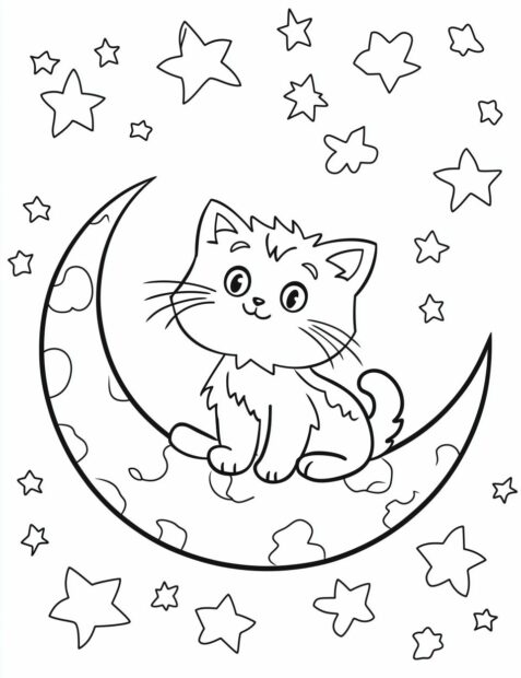 A sweet Halloween cat sits on a crescent moon and looks up at the stars