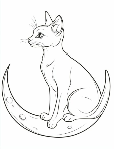 A mystical black cat sitting on a crescent moon for Halloween