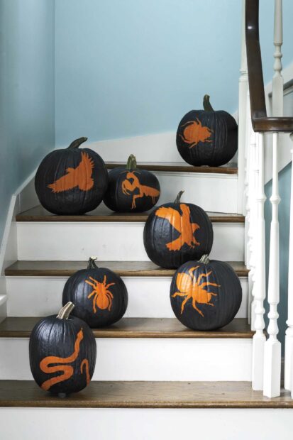 Halloween pumpkins show various animal silhouettes painted on black pumpkins, HD Mobile Wallpaper