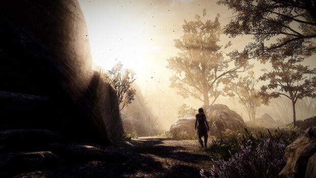 A Hellblade character walks through a sunlit forest path surrounded by rocks and trees, 4K Desktop Wallpaper
