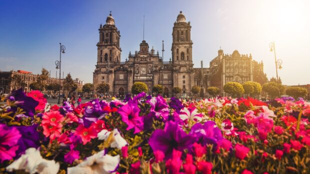 The historic cathedral in Mexico City is seen with vibrant flowers in the foreground, HD Desktop Wallpaper
