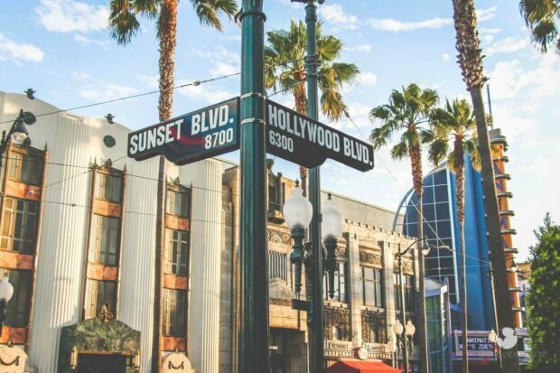 Street signs showing Hollywood and Sunset boulevards with palm trees and buildings in the background