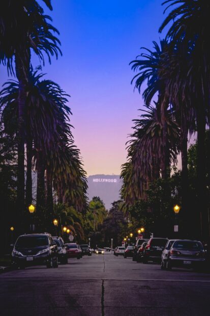 Evening view with palm trees and the Hollywood sign visible in the distance on a city street