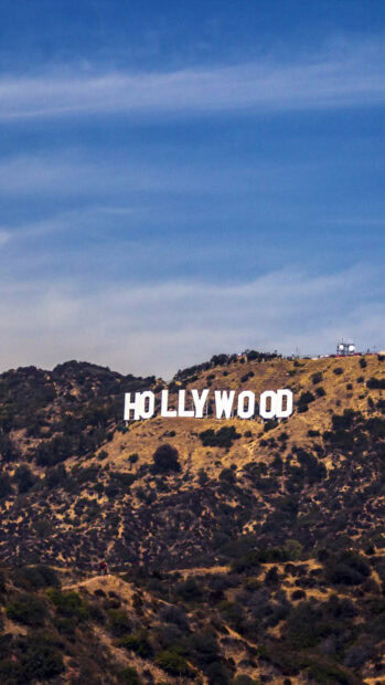 A clear view of the Hollywood sign on a sunny hillside surrounded by dry vegetation