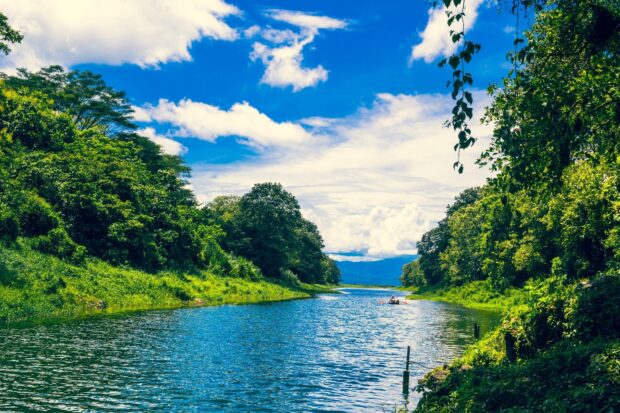 A river surrounded by dense trees in Honduras under a partly cloudy blue sky