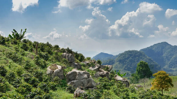 Lush green hills with rocky formations in Honduras under a clear blue sky