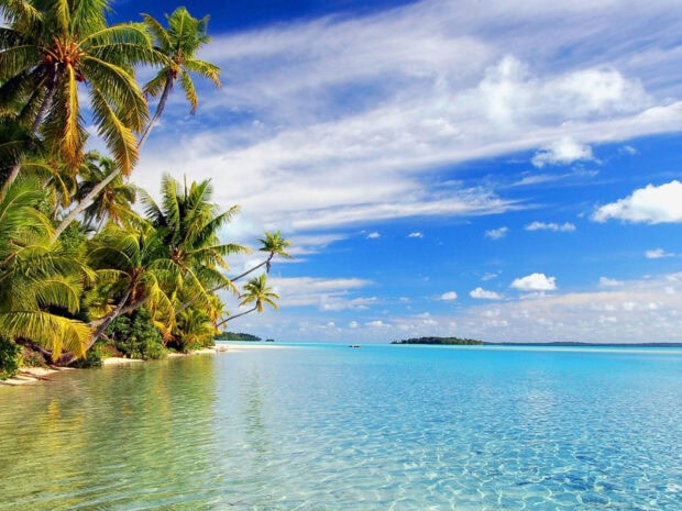 Tropical coast with palm trees and clear water in Honduras landscape