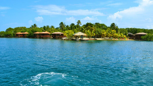 Tropical Honduras coastline with palm trees and wooden huts by the clear blue sea