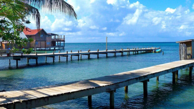 A wooden pier extending over clear blue sea near coastal houses in Honduras