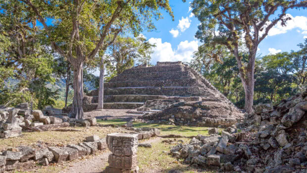 Ancient ruins of Honduras surrounded by trees under blue sky in HD quality