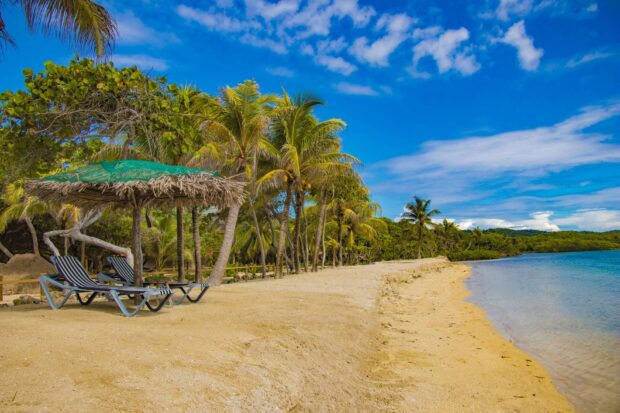 A tropical beach with palm trees and lounge chairs in Honduras