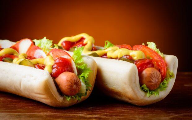 Fresh hot dog with lettuce tomato and mustard on a bun