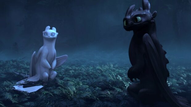 The night forest scene with a light dragon and a dark dragon from How To Train Your Dragon