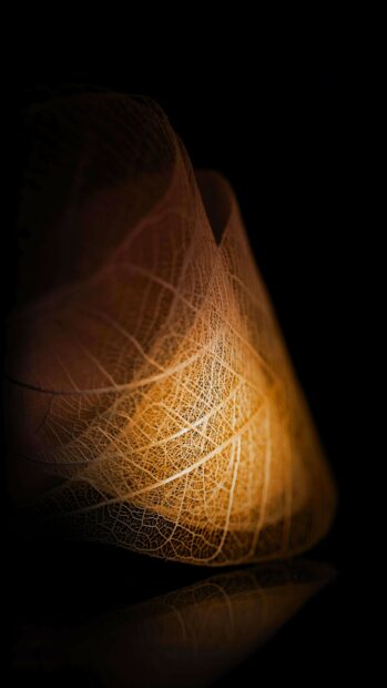A close up of gold leaf with detailed veins illuminated on a dark background, 4K Phone Wallpaper