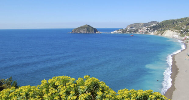 Beautiful Ischia coastline with vibrant yellow flowers and clear blue sea