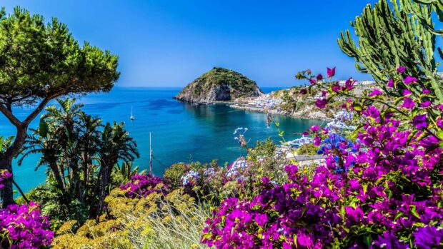 Vibrant flowers and lush plants framing the Ischia coastline with clear blue sea and rocky hill in the background