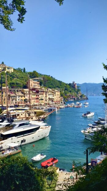 A scenic view of Ischia harbor with boats and colorful buildings along the coastline