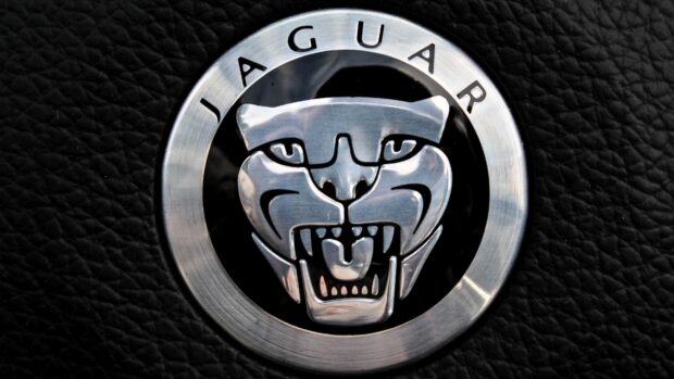 Close up of silver Jaguar emblem on black textured background