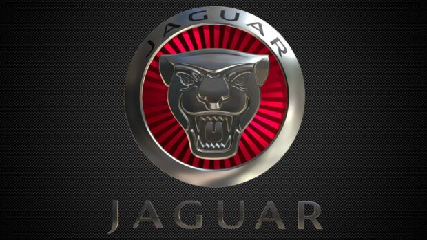 Jaguar logo with fierce jaguar face in silver on a red and black textured background