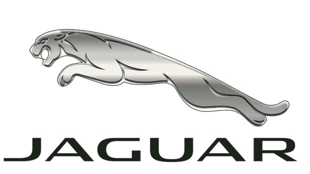 Silver jaguar logo design with a sleek and dynamic style on a white background