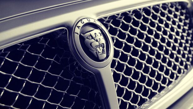 Close up of Jaguar logo on car grille with intricate mesh design in high quality