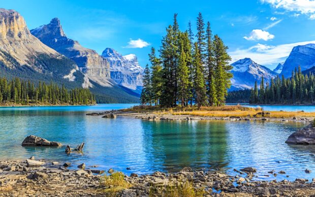 A serene lake with evergreen trees and rocky shores in Jasper National Park