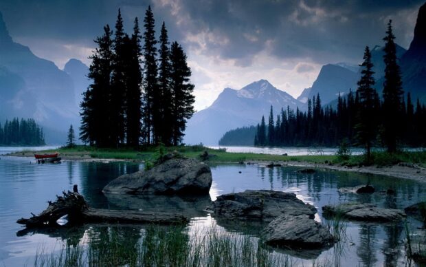 A serene landscape with pine trees and mountains in Jasper National Park