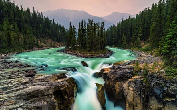 A serene river with waterfalls surrounded by dense forest in Jasper National Park