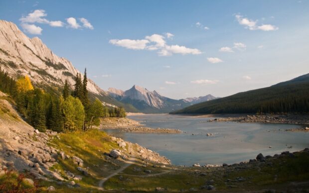 A serene rocky path along the lake in Jasper National Park surrounded by lush trees and mountains