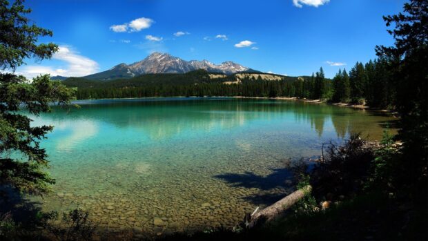 Clear water lake surrounded by trees in Jasper National Park with mountain views in the background