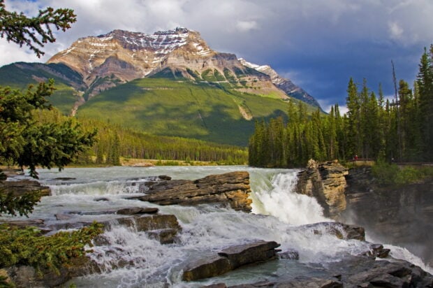 Flowing river with rocky waterfalls and mountain landscape in Jasper National Park