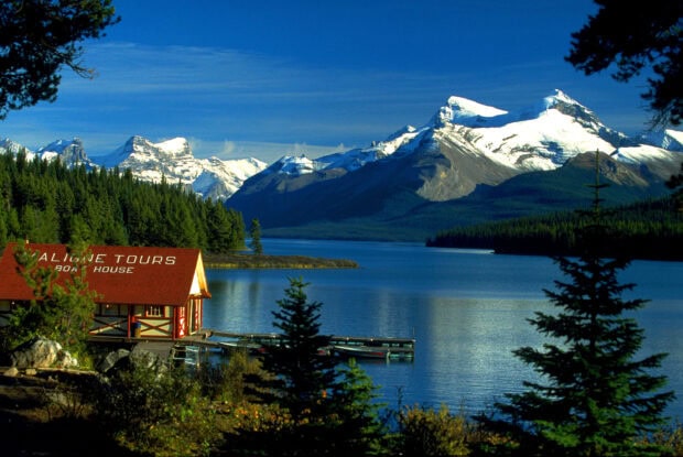 Stunning serene lake and snow capped mountains in Jasper National Park